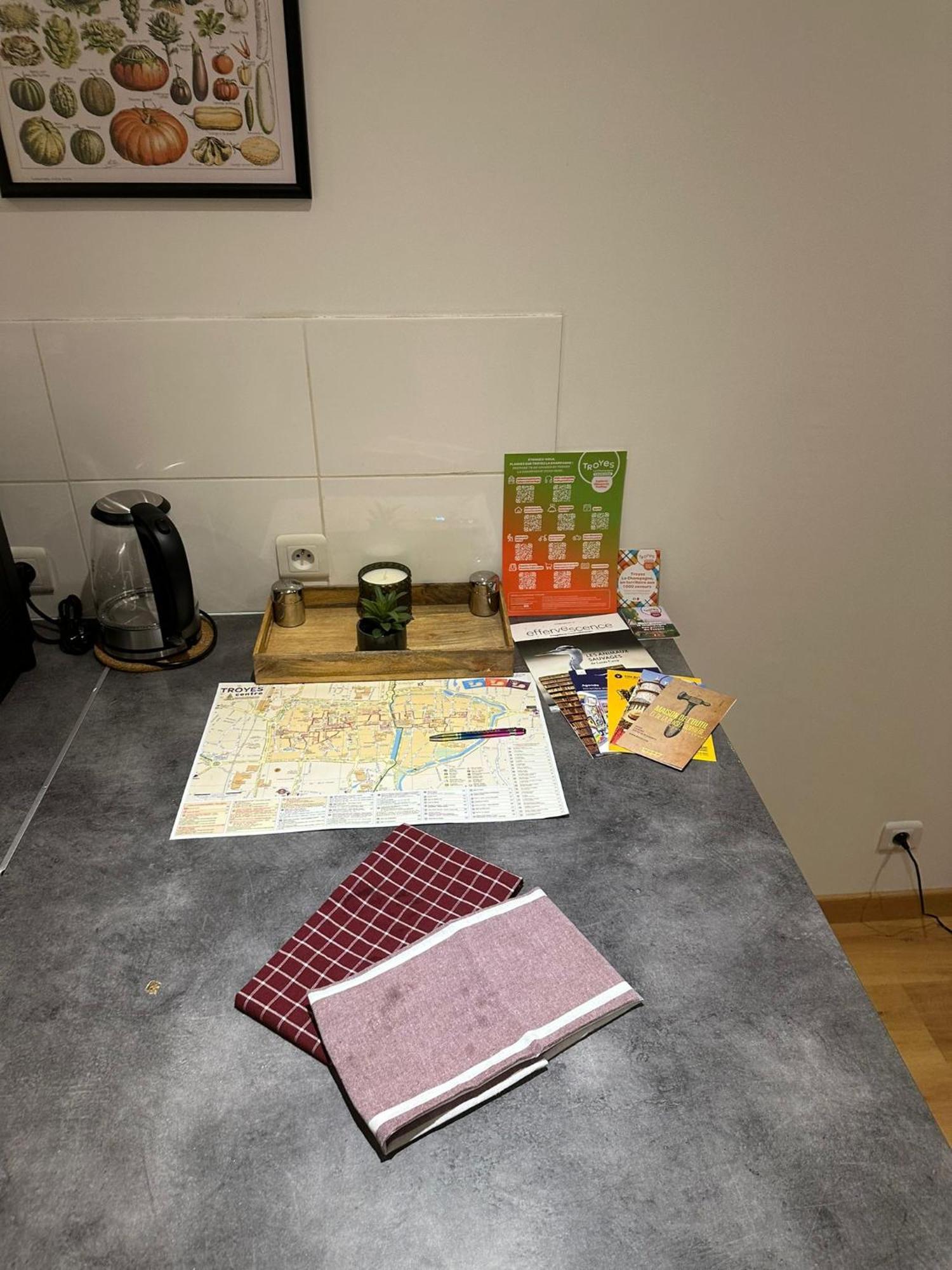 La Sapiniere Apartment Troyes Ngoại thất bức ảnh